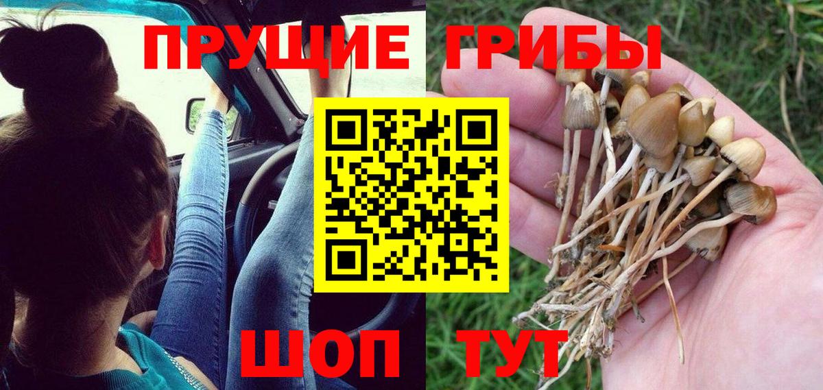 Псилоцибиновые грибы мицелий  Вход с VPN  Донецк 